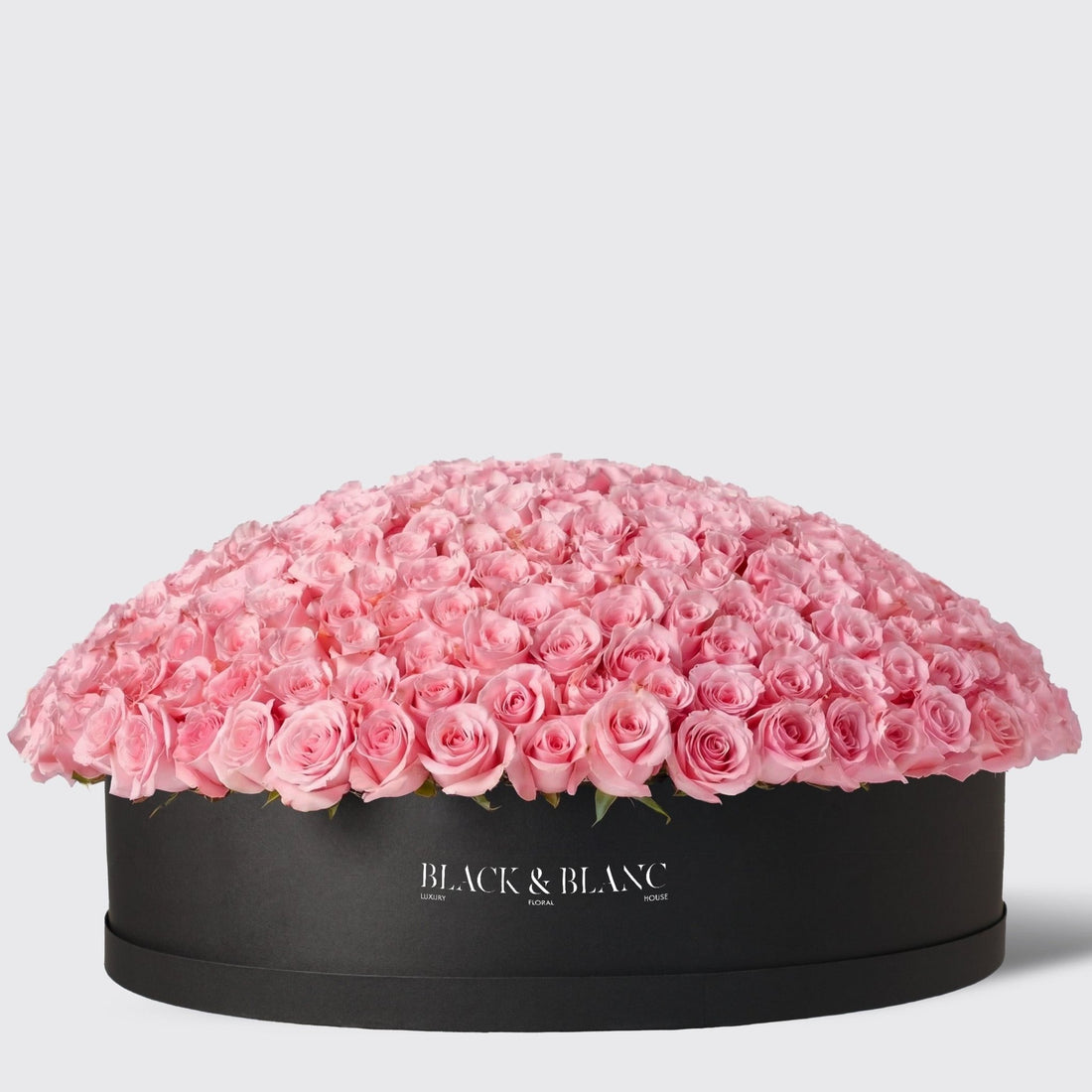 500/501 Pink Roses in Extravaganza Box - BLACK AND BLANC