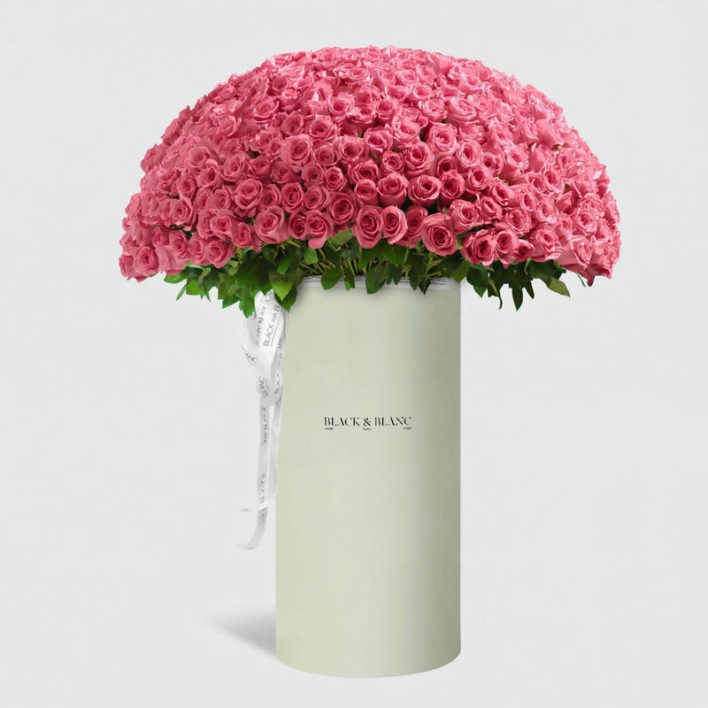 500/501 Pink Roses in Pinnacle - BLACK AND BLANC