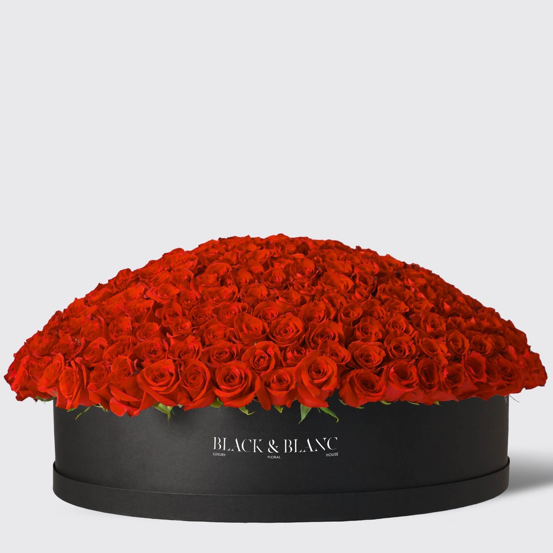 500/501 Red Roses in Extravaganza Box - BLACK AND BLANC