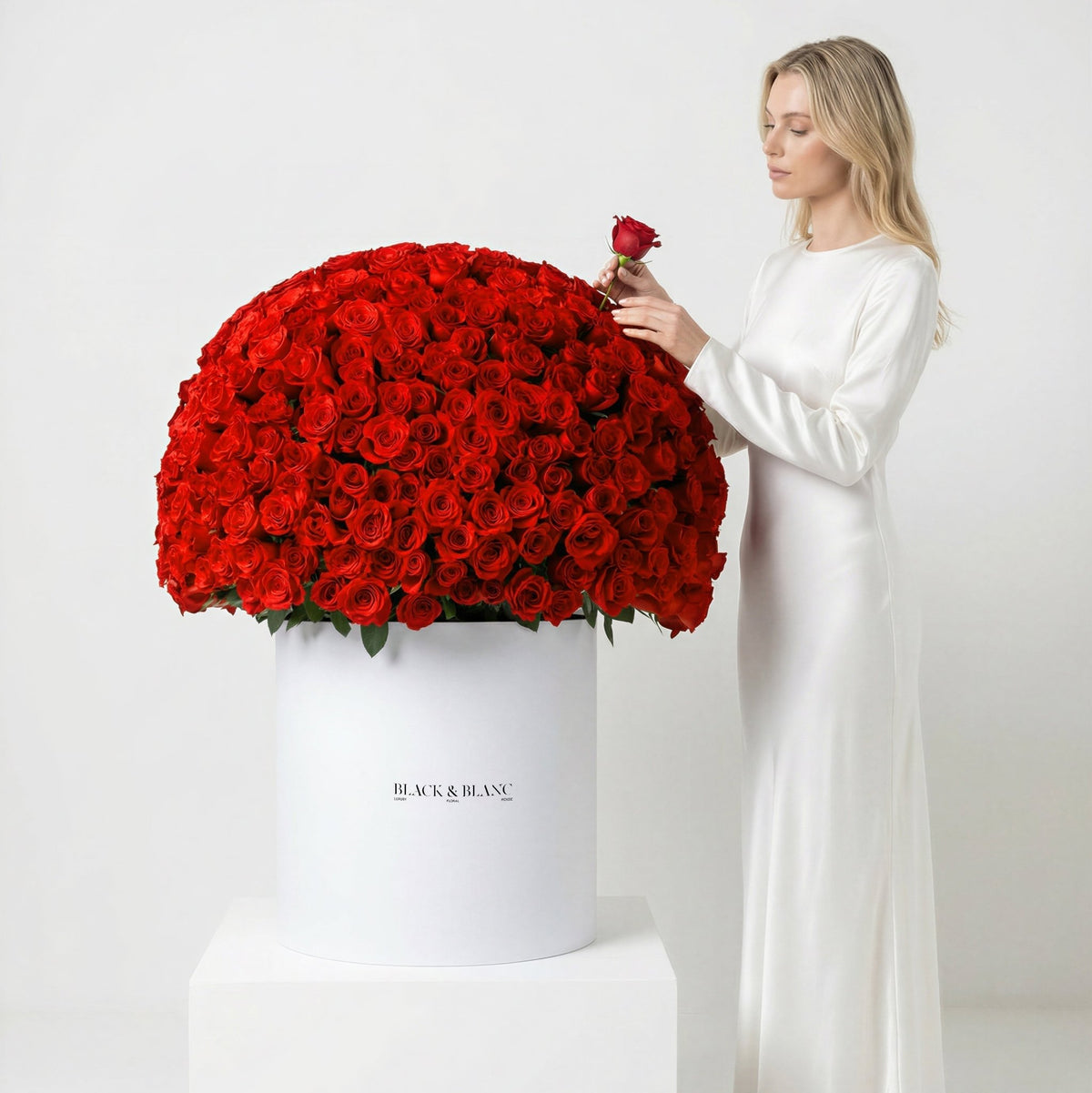 500/501 Red Roses in Opus Box - BLACK AND BLANC