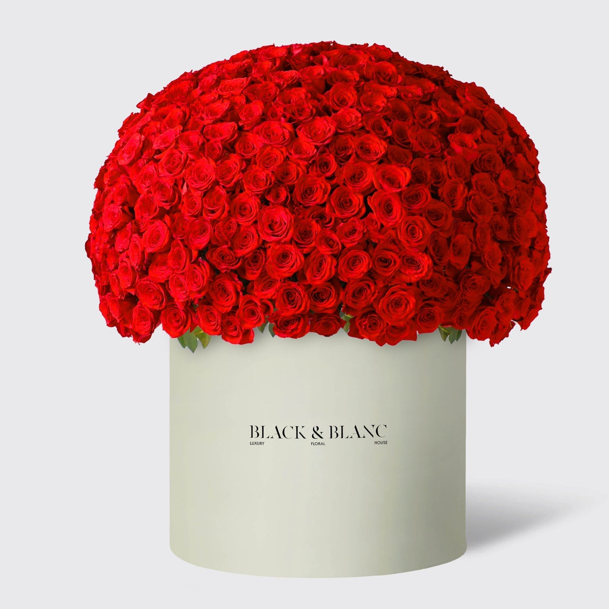 500/501 Red Roses in Opus Box - BLACK AND BLANC