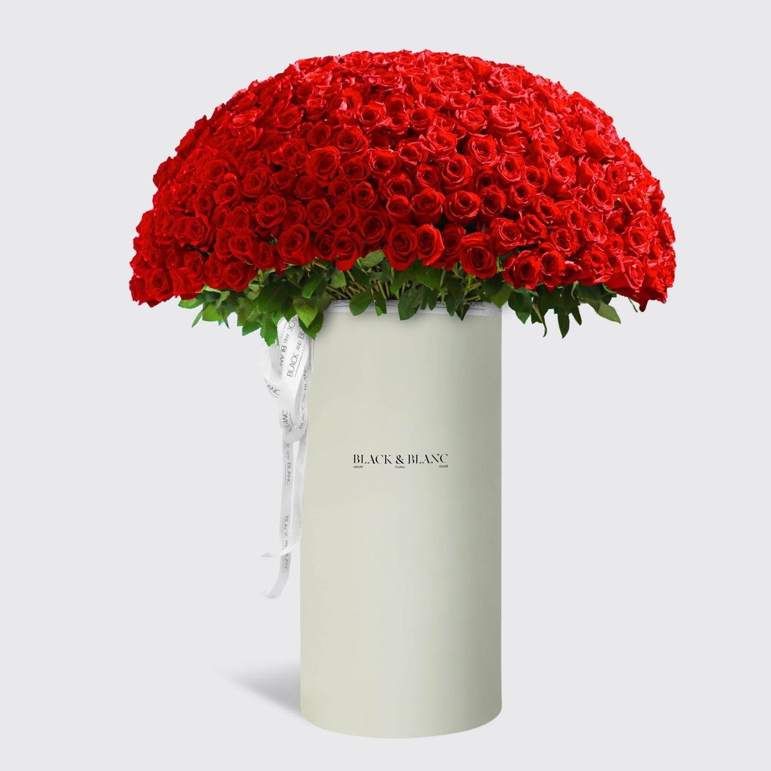500/501 Red Roses in Pinnacle - BLACK AND BLANC