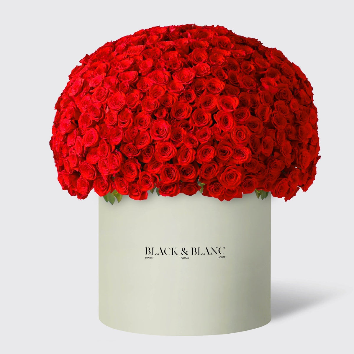 500/501 Roses in Opus Box - BLACK AND BLANC