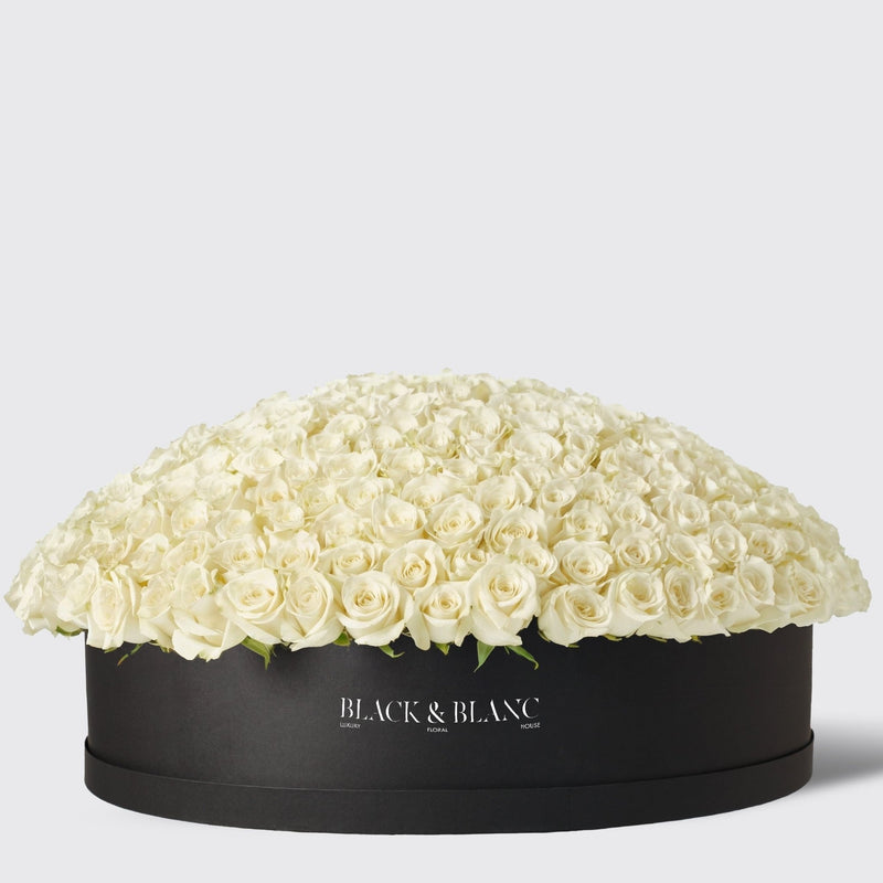 500/501 White Roses in Extravaganza Box - BLACK AND BLANC