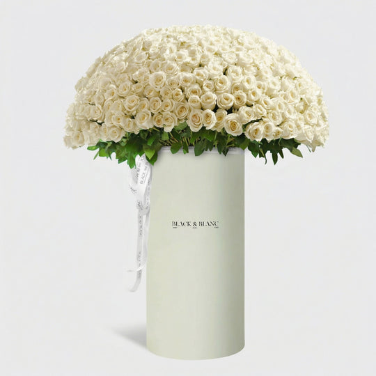 500/501 White Roses in Pinnacle - BLACK AND BLANC