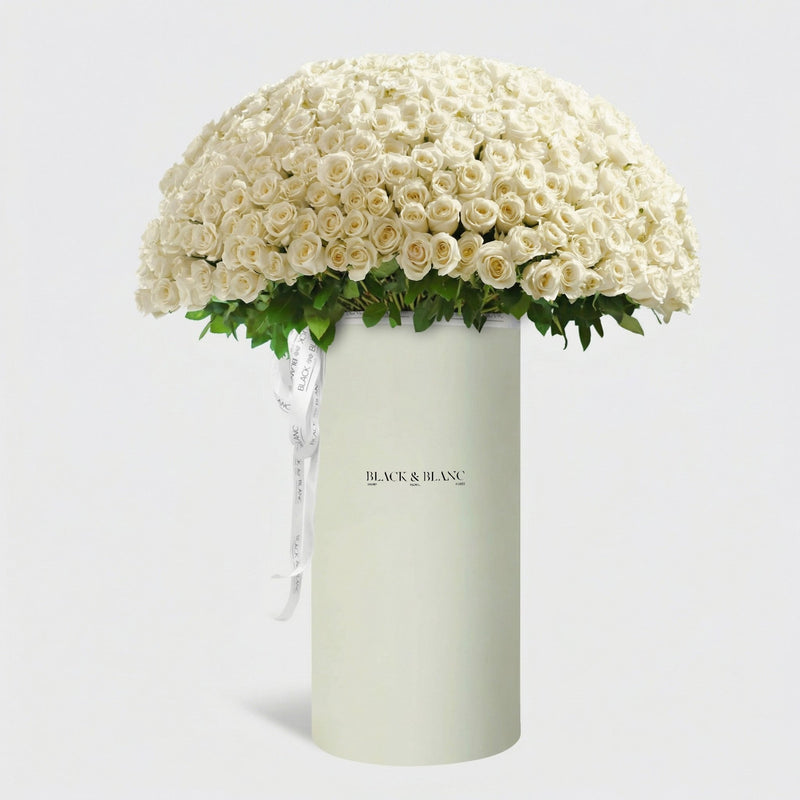 500/501 White Roses in Pinnacle - BLACK AND BLANC