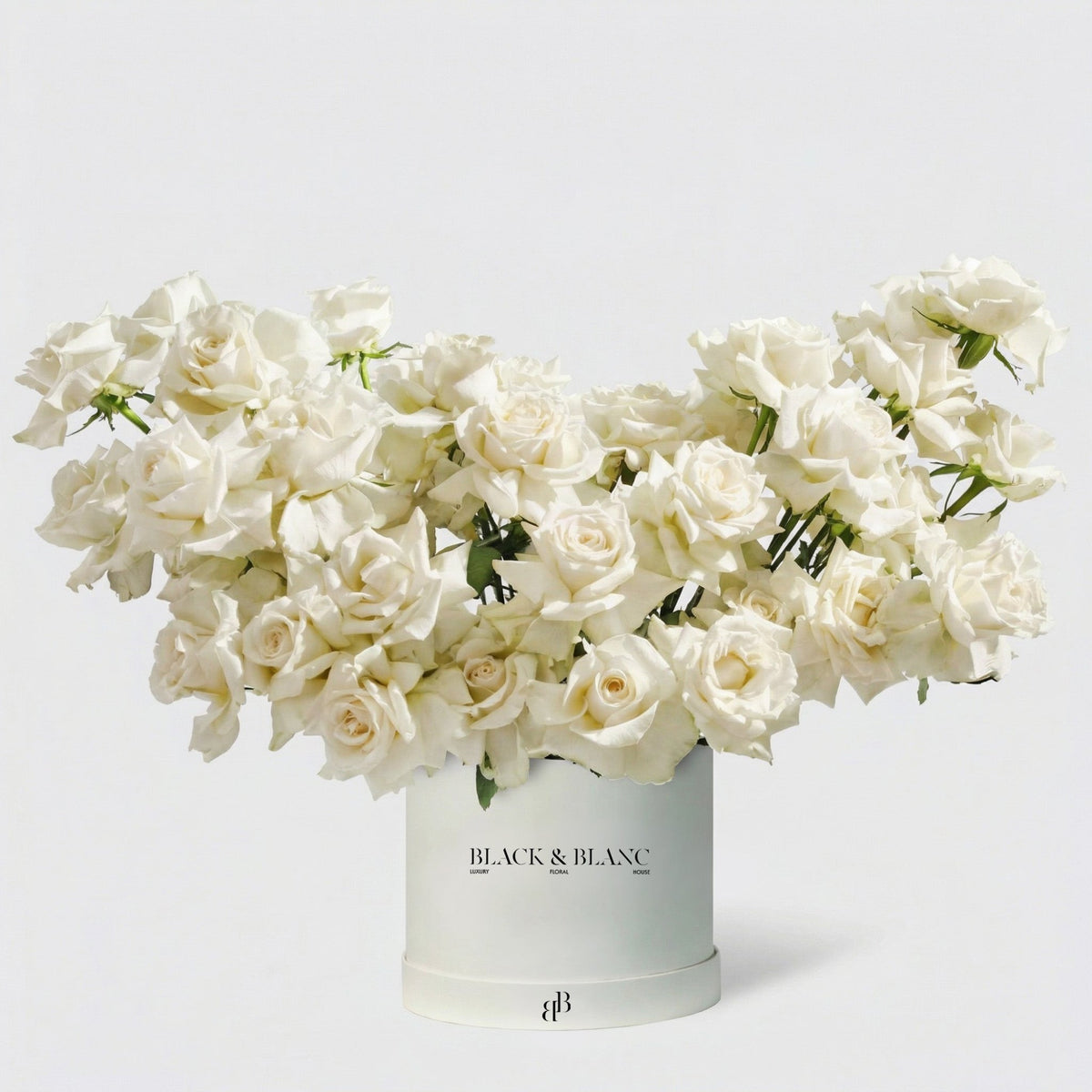 50/51 Roses in Box - BLACK AND BLANC