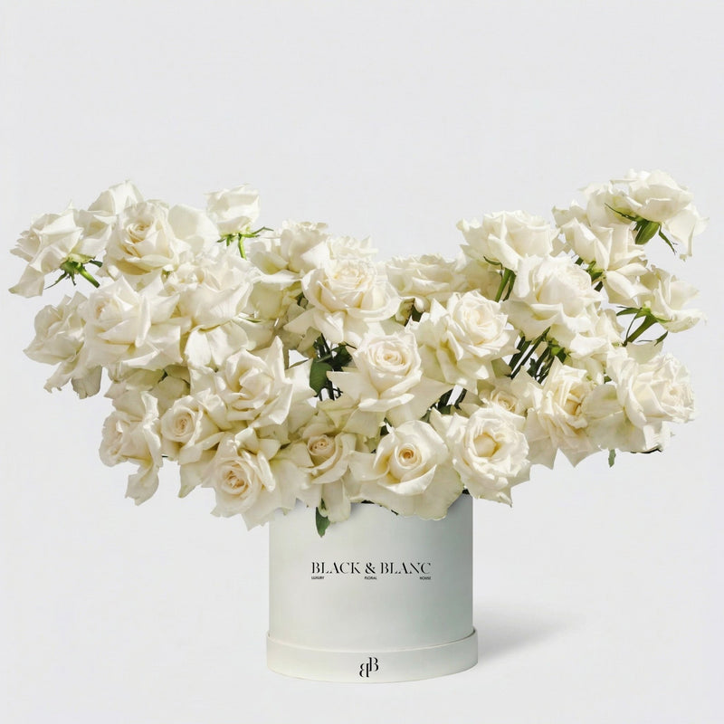 50/51 Roses in Box - BLACK AND BLANC