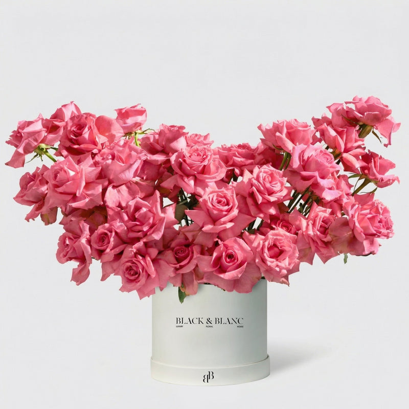 50/51 Roses in Box - BLACK AND BLANC