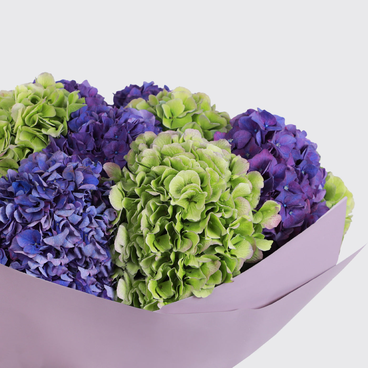 Demoiselle Emile Multi Color Bouqs (Green & Purple)- Fresh Flowers