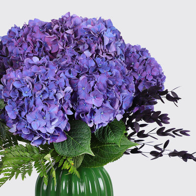 Demoiselle Emile in Vase (Purple Hydrangea)- Fresh Flowers