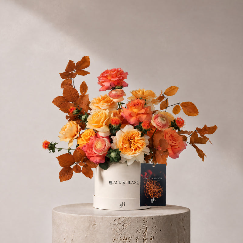 Autumn - Amber in Box - BLACK AND BLANC