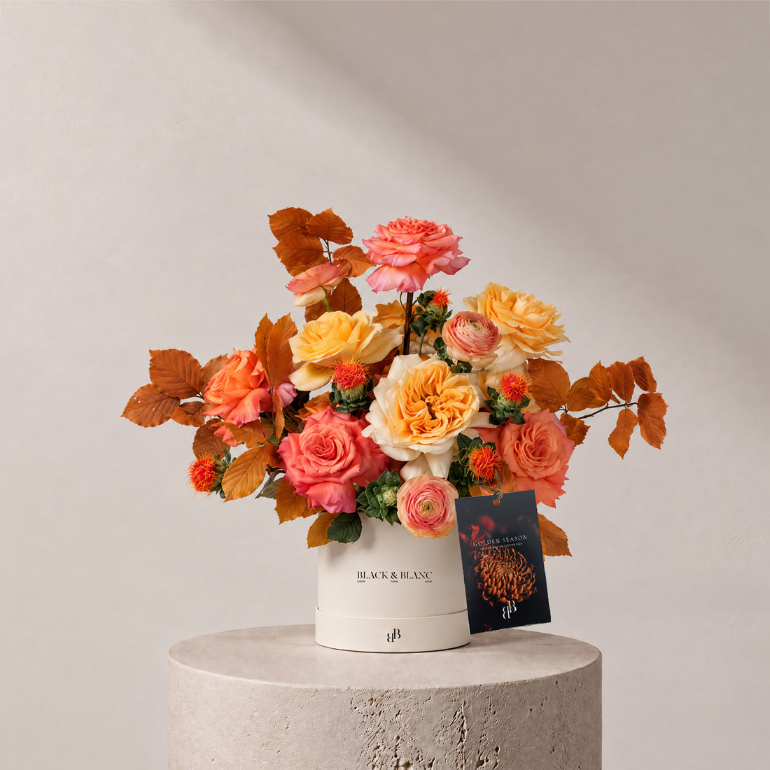 Autumn - Amber in Box - BLACK AND BLANC