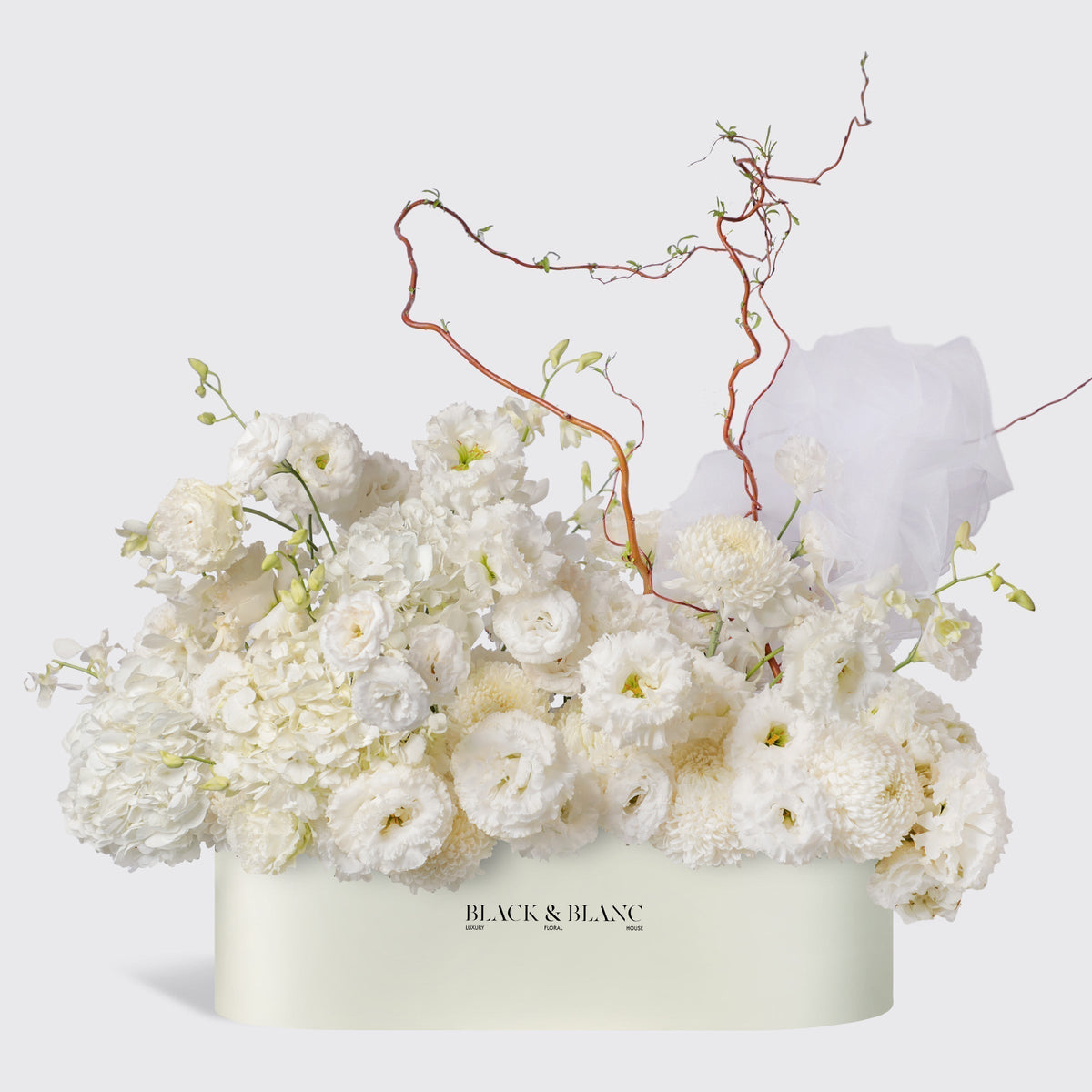 راقصة السحاب في صندوق نصف متر