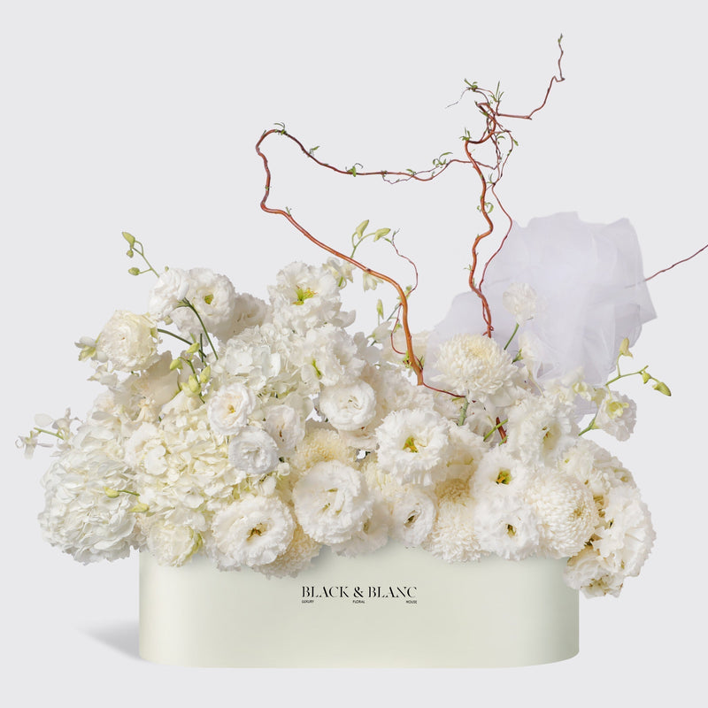 راقصة السحاب في صندوق نصف متر