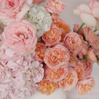 Ballet Rose Ceramic in Vase - Fresh Flowers