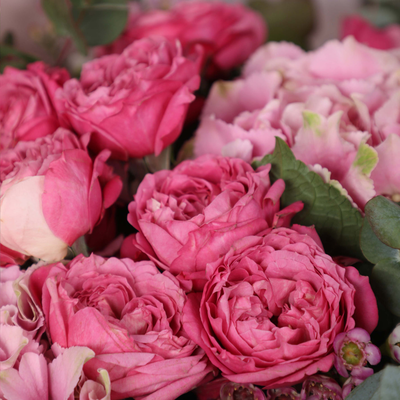 Celine Bouquet - Fresh Flowers