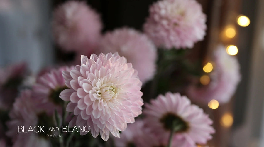 Chrysanthemums-as-goodbye-flower