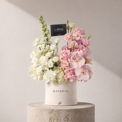 Libra - Equilibrium in Box
