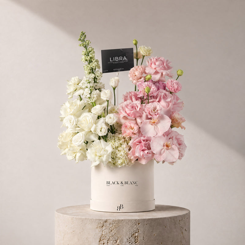 Libra - Equilibrium in Box