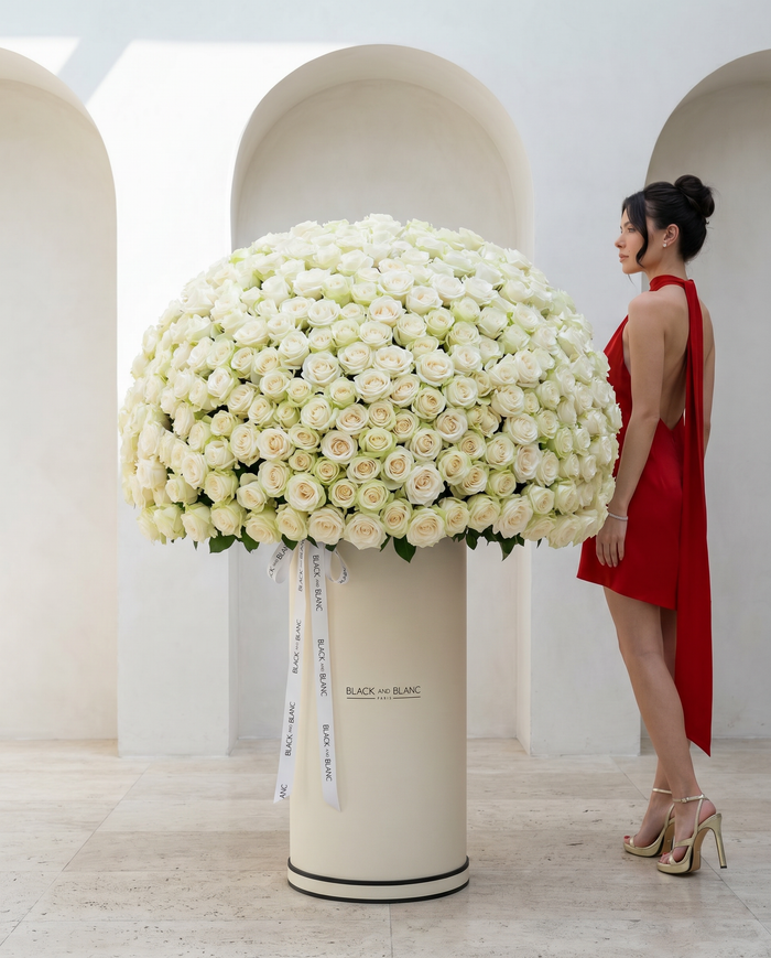 Luxury Collection