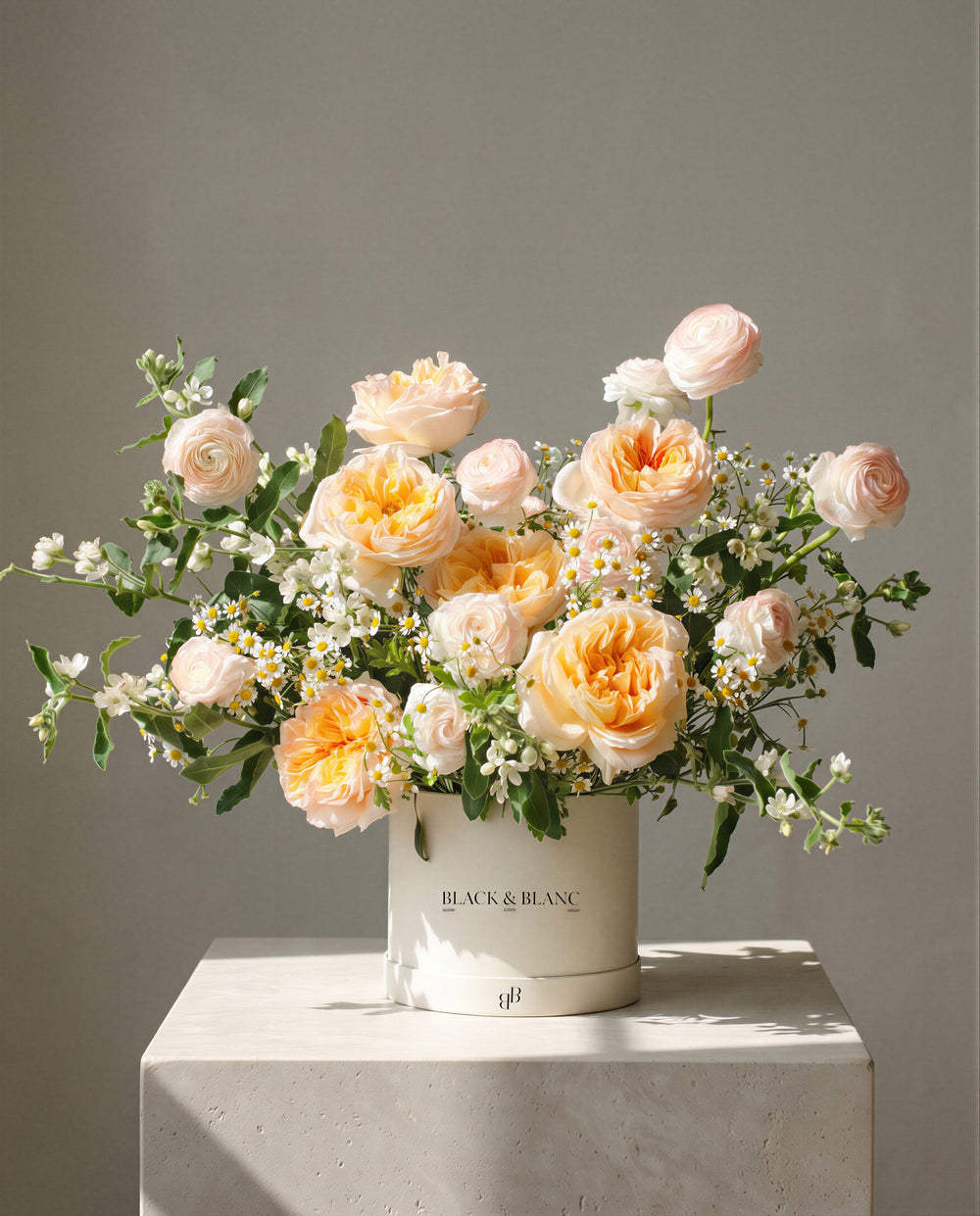 Sunlit Garden in Box
