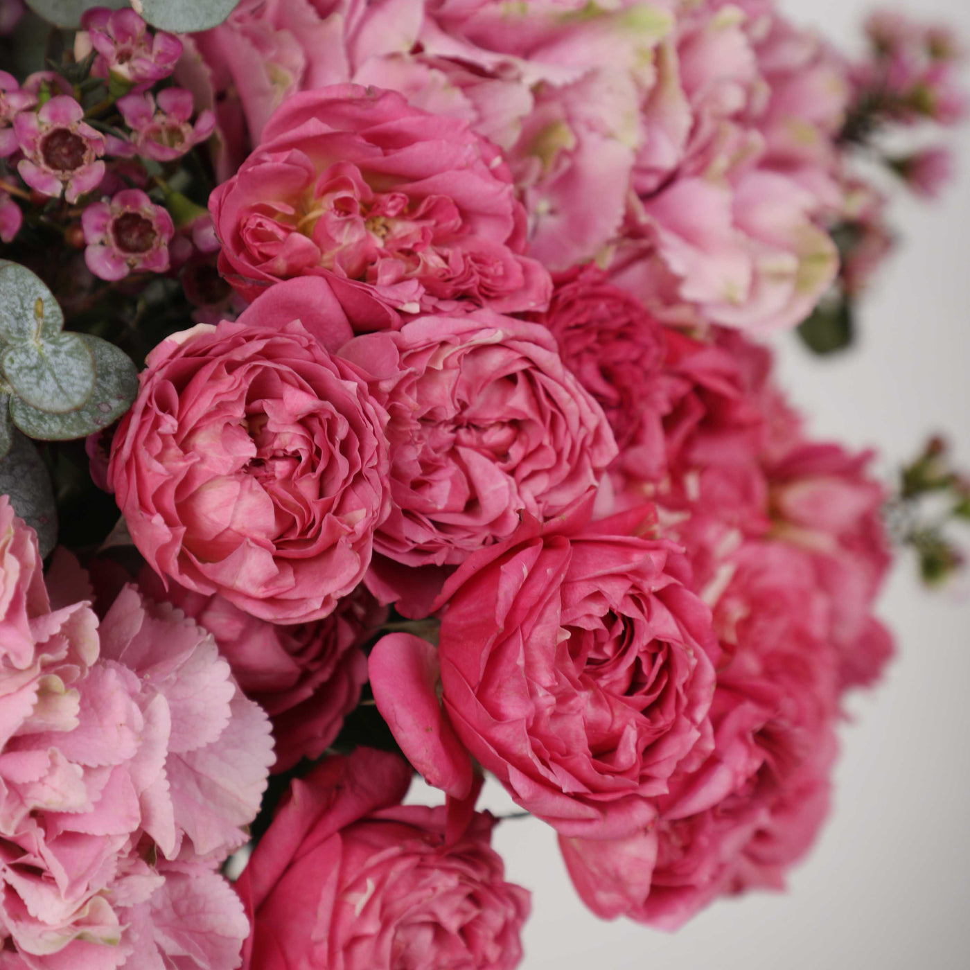 Grandeur Celine Ceramic in Vase - Fresh Flowers
