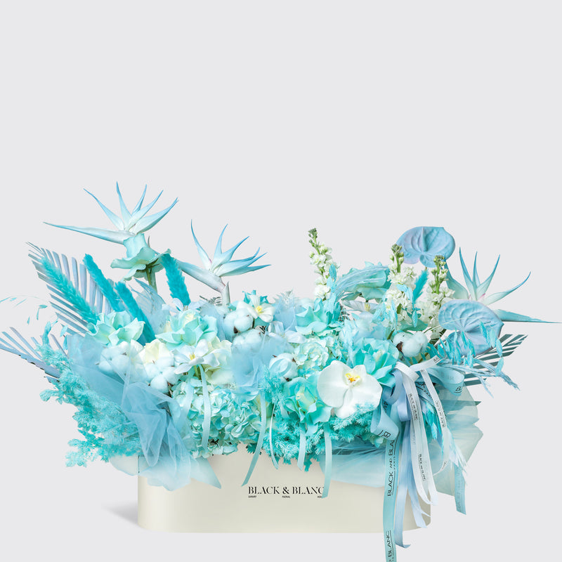 Blue Mirage in Half Meter Box