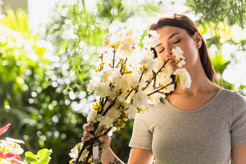 How Flowers Enhance Mental Health