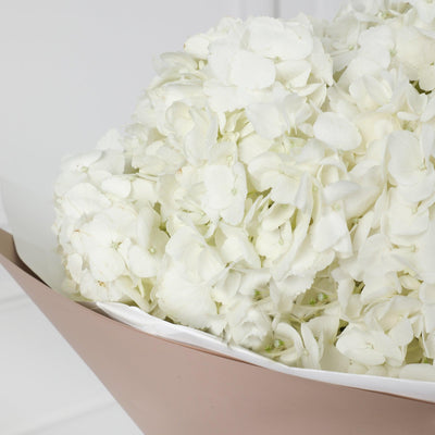 Demoiselle Emile White Hydrangea Bouqs - Fresh Flowers - BLACK AND BLANC