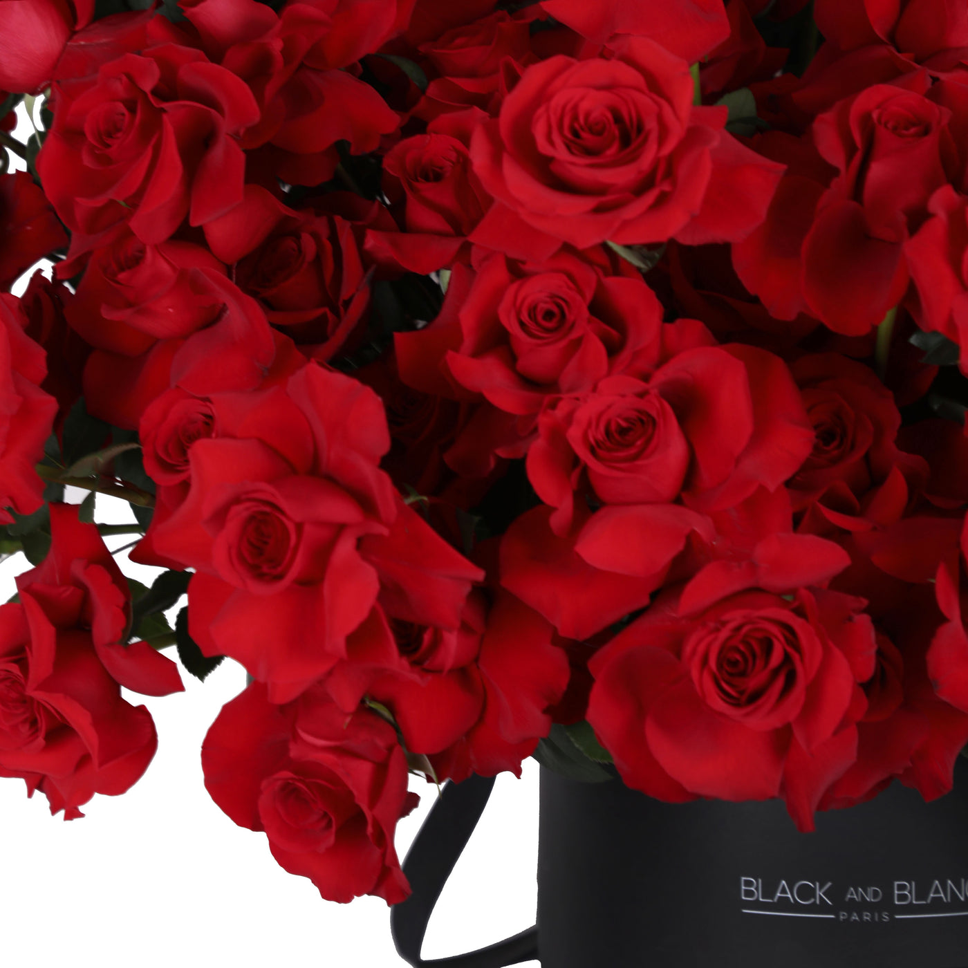 100 Red Roses BouqBox - Fresh Flowers