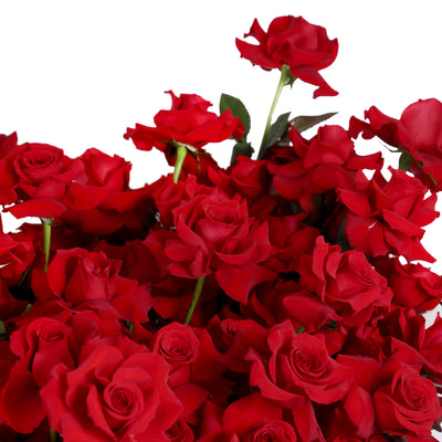 100 Red Roses BouqBox - Fresh Flowers