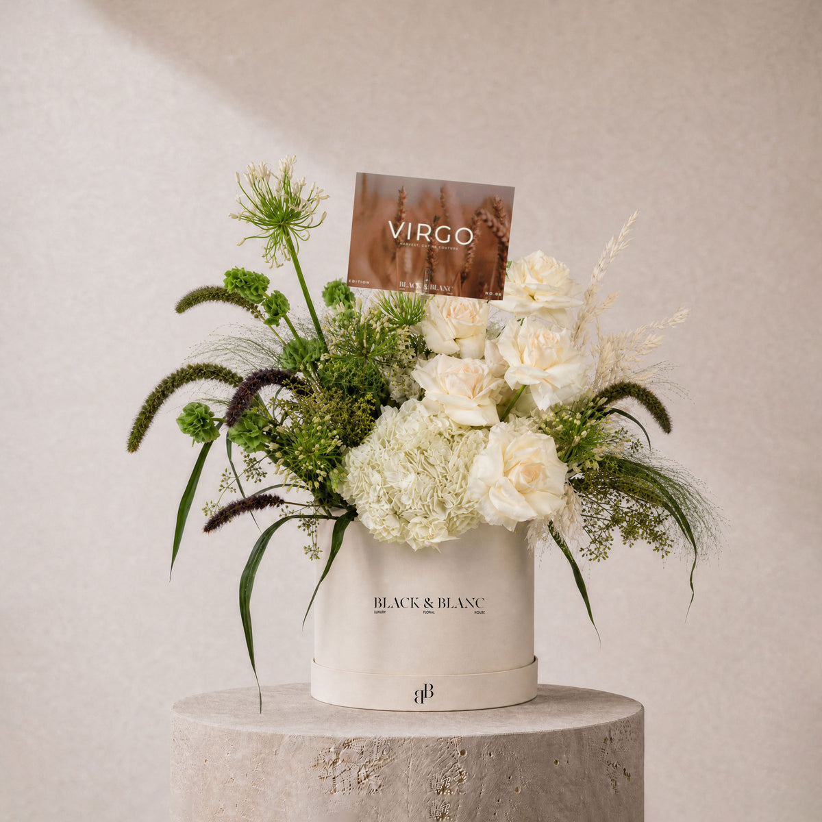 Virgo - Viride in Box
