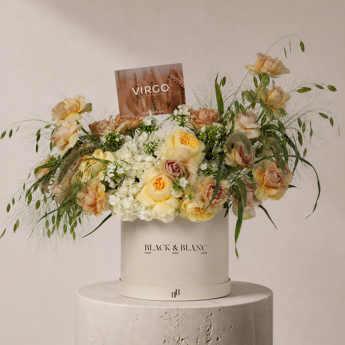 Virgo - The Standing Sheaf in Box