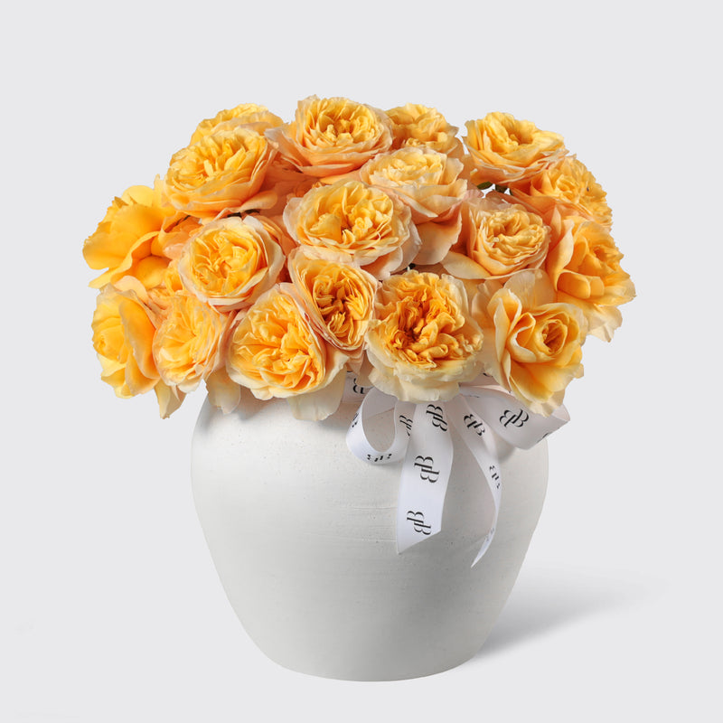 Zafaran Garden Rose in Vase