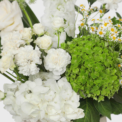 Margot Ceramic in Vase - Fresh Flowers