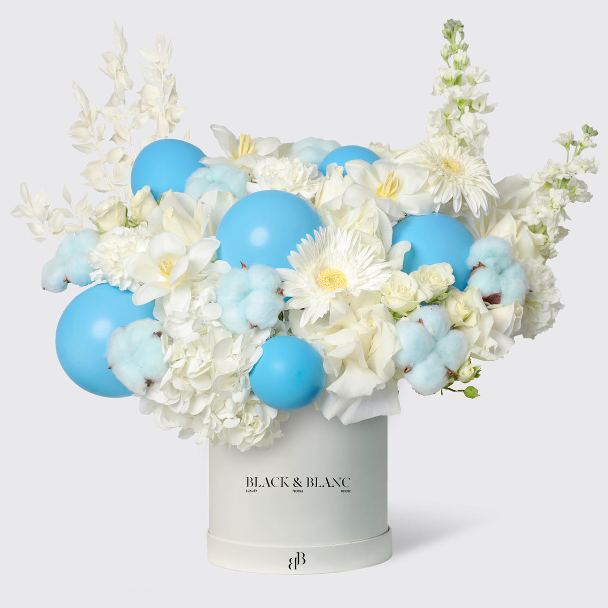Blue Sky in Box