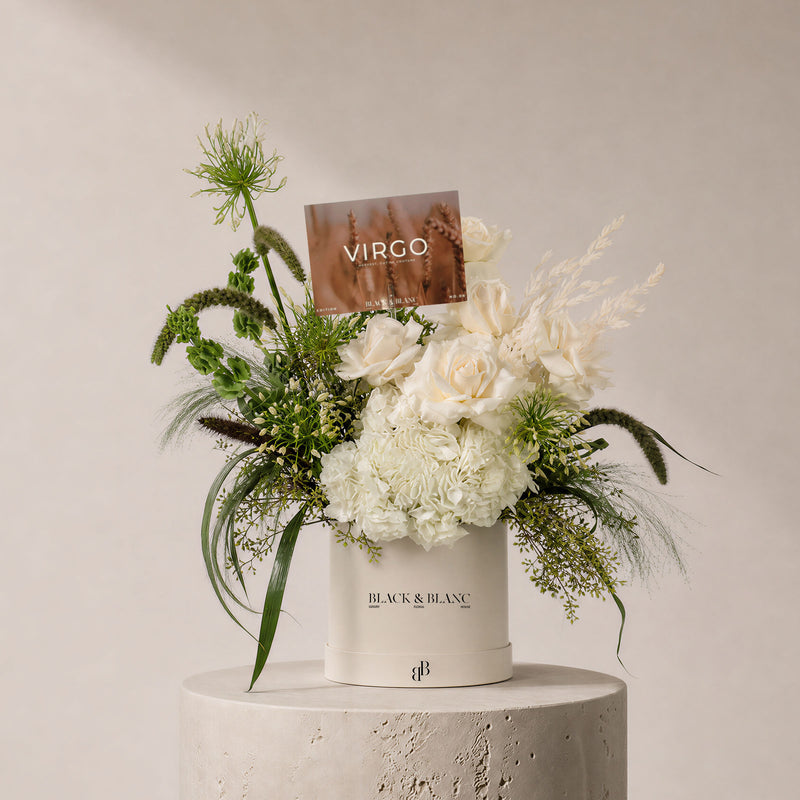 Virgo - Viride in Box