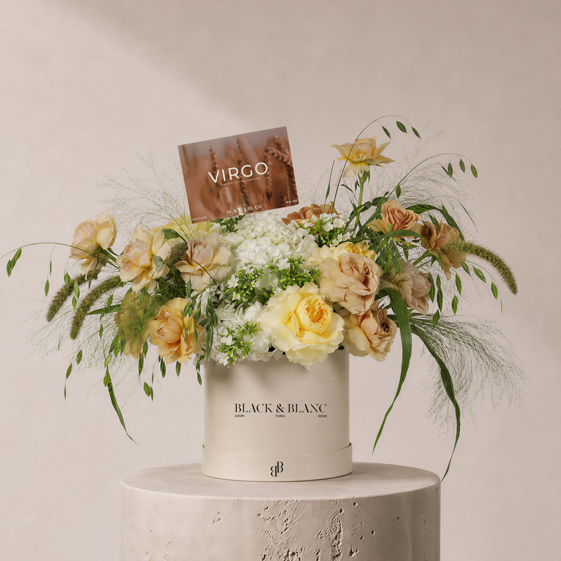 Virgo - The Standing Sheaf in Box