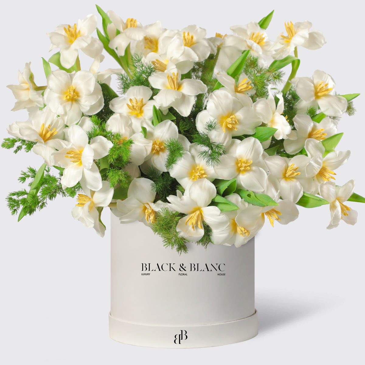 Glowing White Tulips in Box