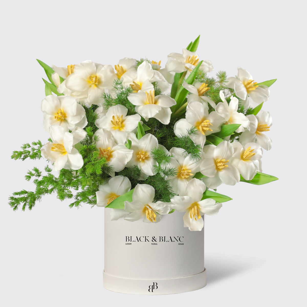 Glowing White Tulips in Box