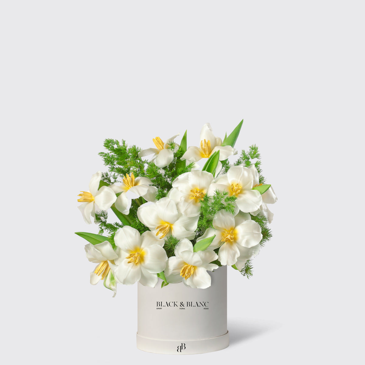 Glowing White Tulips in Box