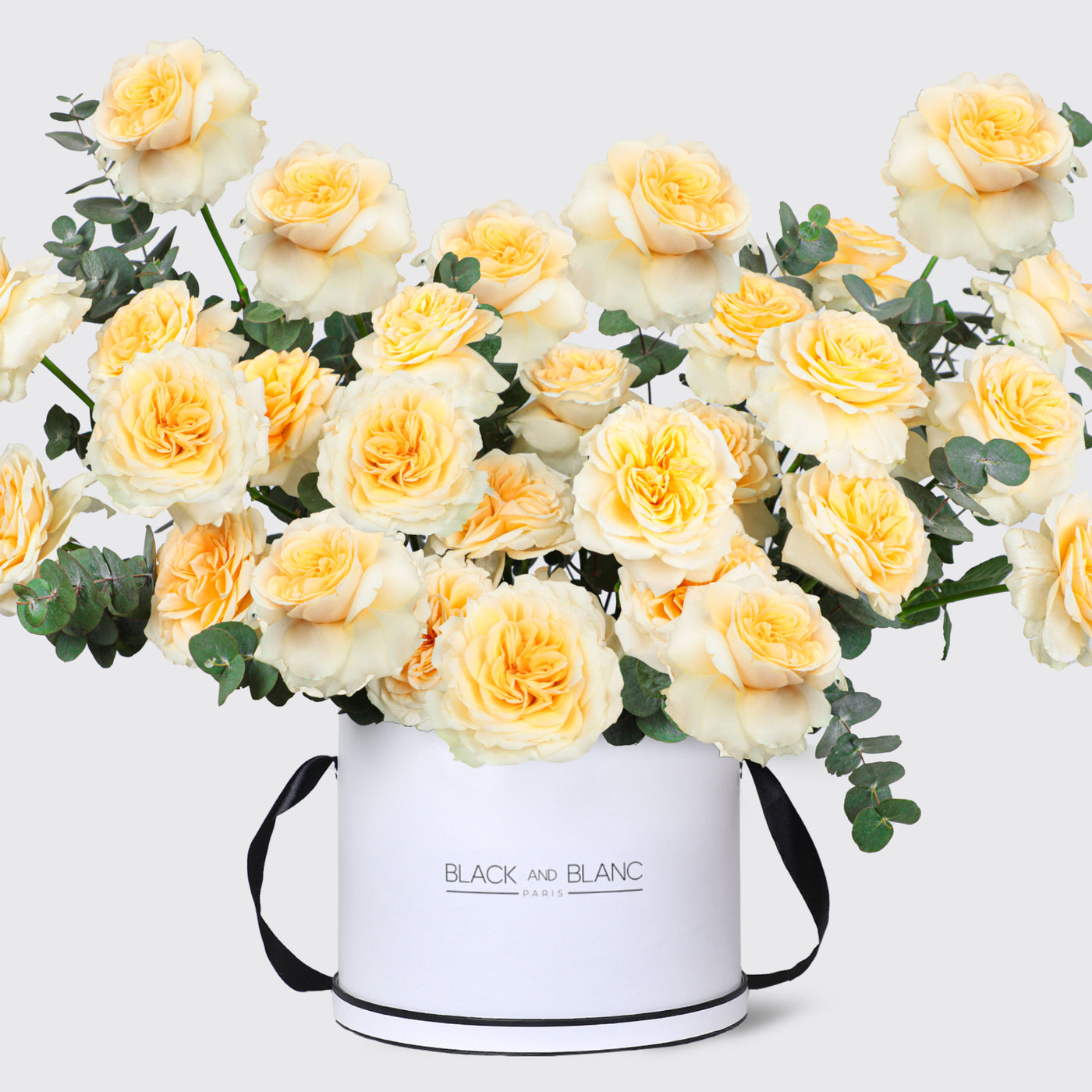 Golden Grace in Box - Fresh Flowers