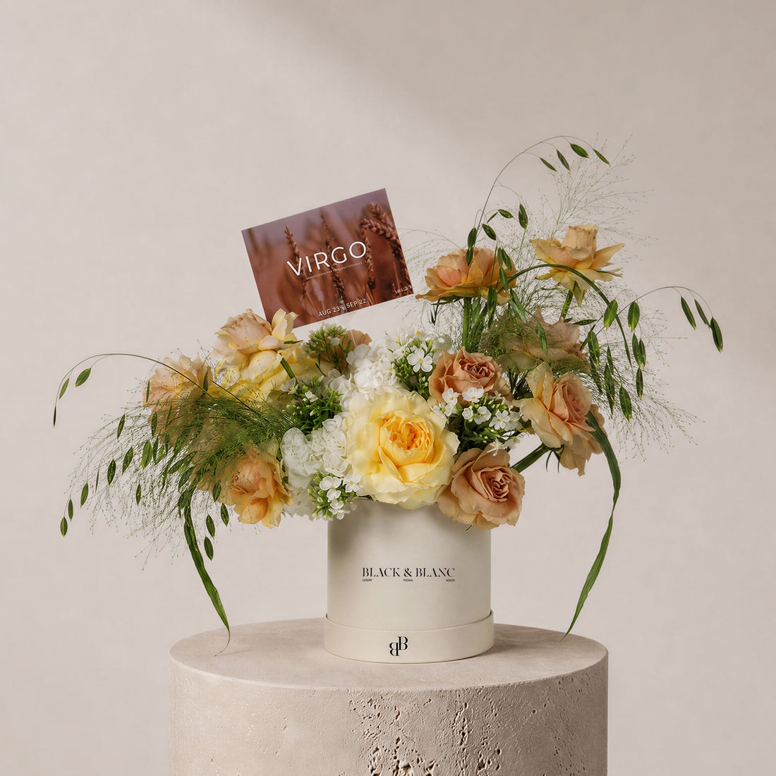 Virgo - The Standing Sheaf in Box