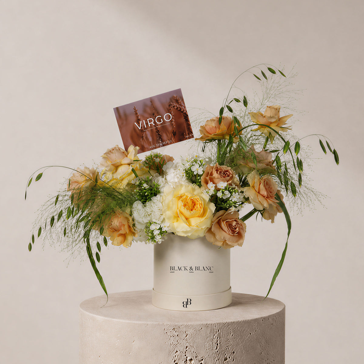 Virgo - The Standing Sheaf in Box