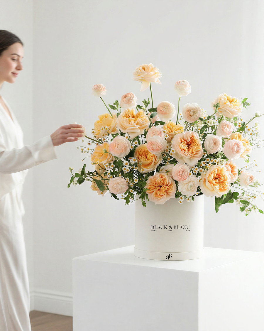 Spring Collection
