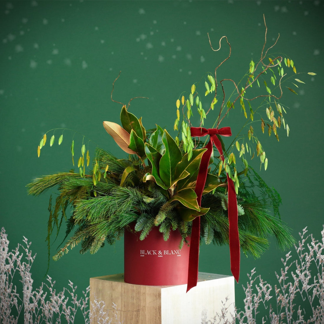 Alpine in Box - Fresh Flowers - BLACK AND BLANC