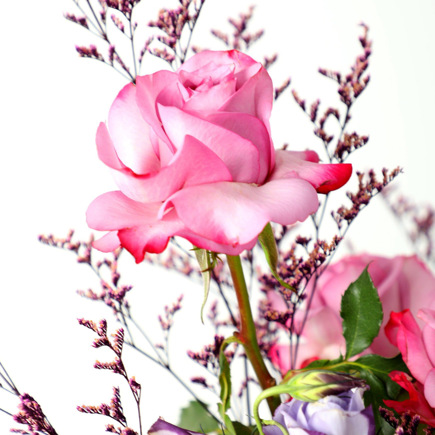 Amethyst - Fresh Flowers - BLACK AND BLANC