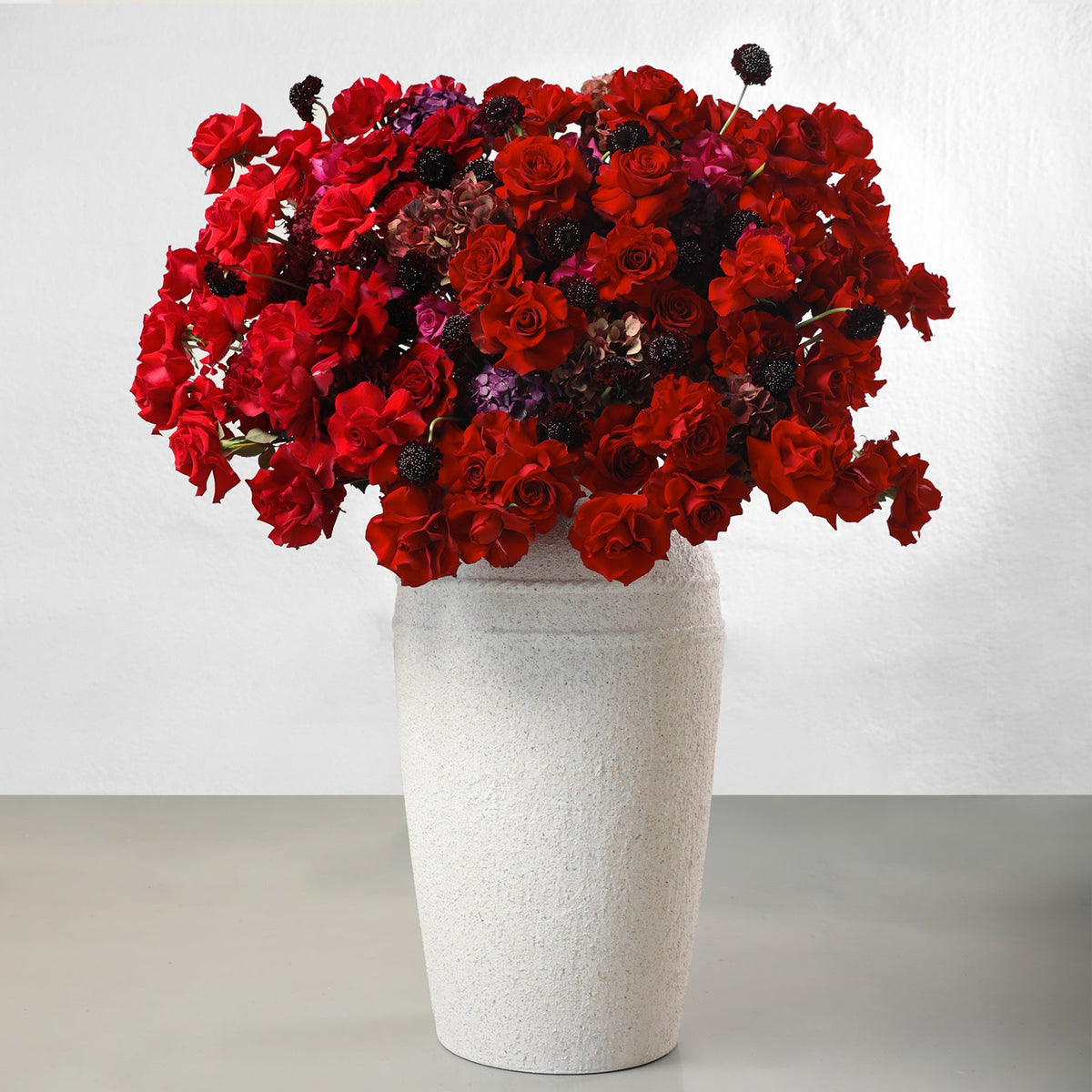 Anaar in Vase - BLACK AND BLANC