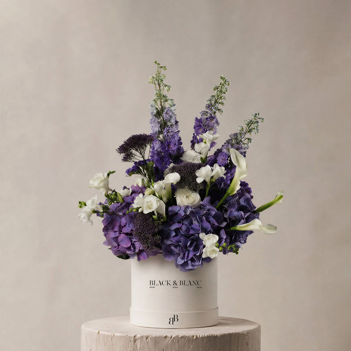 Antibes in Box - BLACK AND BLANC